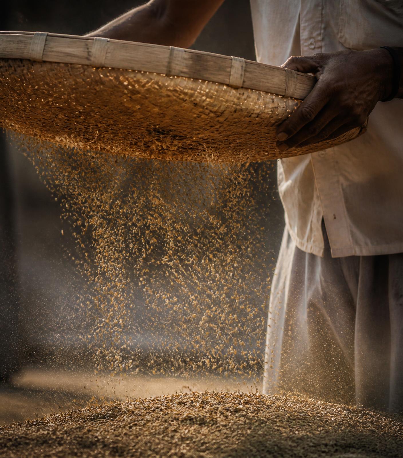 Indian farmland worked at scale